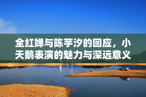 全红婵与陈芋汐的回应，小天鹅表演的魅力与深远意义