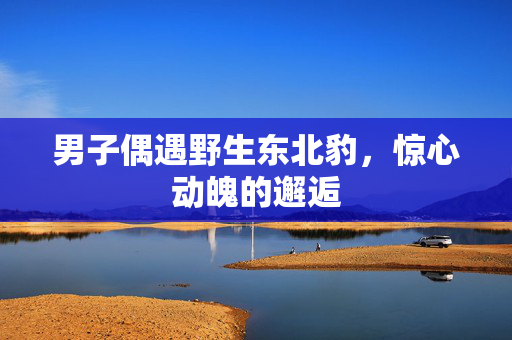 男子偶遇野生东北豹，惊心动魄的邂逅