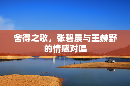 舍得之歌，张碧晨与王赫野的情感对唱