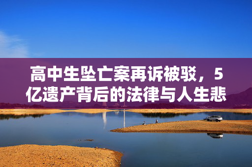高中生坠亡案再诉被驳，5亿遗产背后的法律与人生悲剧