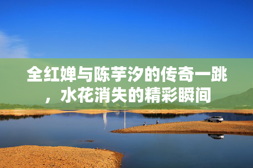 全红婵与陈芋汐的传奇一跳，水花消失的精彩瞬间