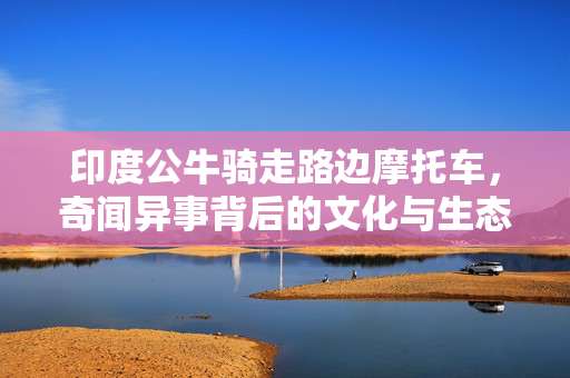 印度公牛骑走路边摩托车，奇闻异事背后的文化与生态观察