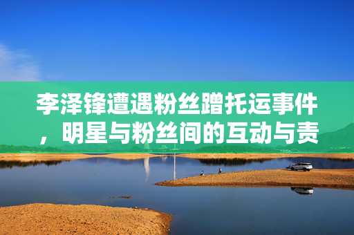李泽锋遭遇粉丝蹭托运事件，明星与粉丝间的互动与责任考量